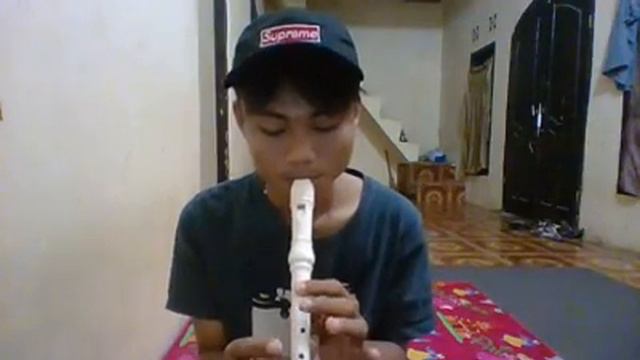 Titanic | My Heart will Go On | Recorder Cover смотреть онлайн