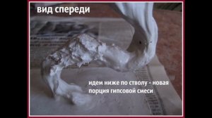 МК Бонсай  «Мимоза»
