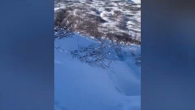 Снегоходная экскурсия на Банные горячие источники. Камчатка смотреть онлайн