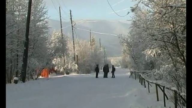 Заколдованный лес. Юрий Таюрский