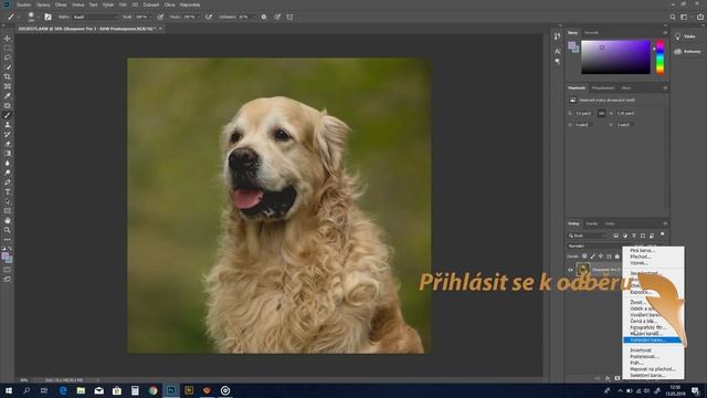 Nik Collection - selektivní doostřování pomocí Sharpener Pro - photoshop tutorial смотреть онлайн