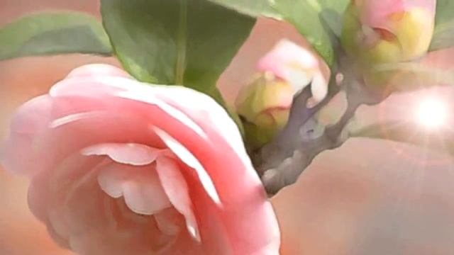 Эта мантра превращает в роскошных красавиц и красавцев,дает изысканное очарование смотреть онлайн