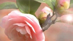 Эта мантра превращает в роскошных красавиц и красавцев,дает изысканное очарование