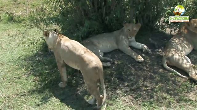 Где лучше всего отдыхать за границей зимой смотреть онлайн