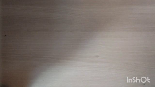 Запасы носочной пряжи на начало 2024 года смотреть онлайн