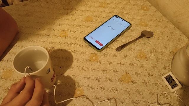 Лабораторная работа "Исследование изменения со временем температуры остывающей воды" смотреть онлайн