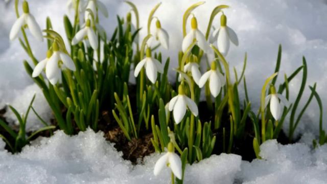 15 февраля праздник Сретение Господне. Народные приметы и традиции. Что делать нельзя. смотреть онлайн