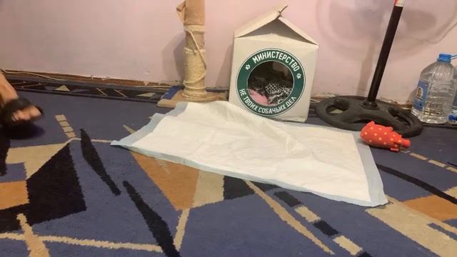 Пряничный массаж пошёл не по плану смотреть онлайн