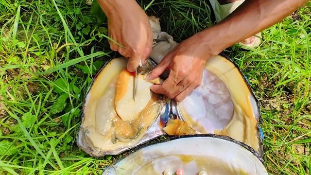 The Boy First Discovered A Colorful Pearl Clam, Containing Rare And Mysterious Pearls