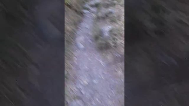 Восхождение на гору к часовне Иверской Божьей матери. смотреть онлайн