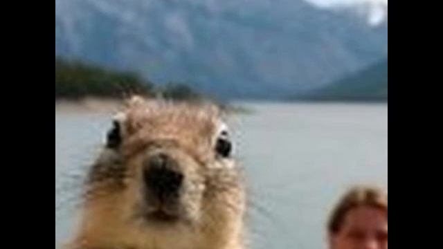 Snake III, Snake OG, Drums, 20th Century Fox, Kahoot смотреть онлайн