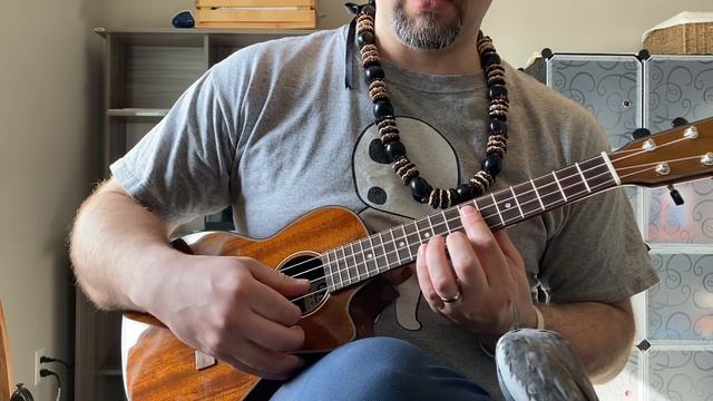 Princess Mononoke - Princess Mononoke - Ghibli Ukulele смотреть онлайн
