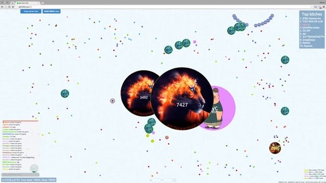 PetriDish.pw | Чашка Петри | Petri Dish | Шоу анимированных скинов смотреть онлайн