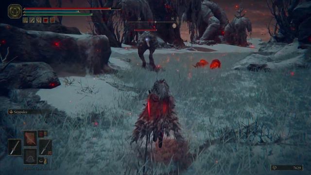 Elden Ring - OP Dual Katana Nagakiba + Uchigatana | Dexterity / Mimic Tear + Bleed Build (Testing) смотреть онлайн
