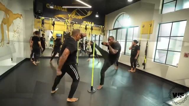 Weta Fit Studio Adult Capoeira смотреть онлайн