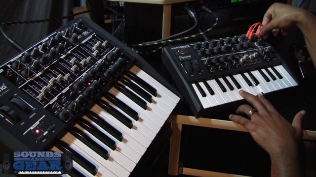 Arturia MiniBrute & MicroBrute sequencing, modulation, and tweaking смотреть онлайн