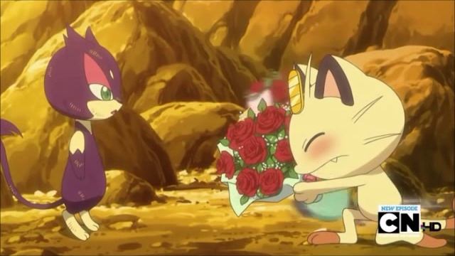 Meowth and Oshawott asking purrloin out смотреть онлайн