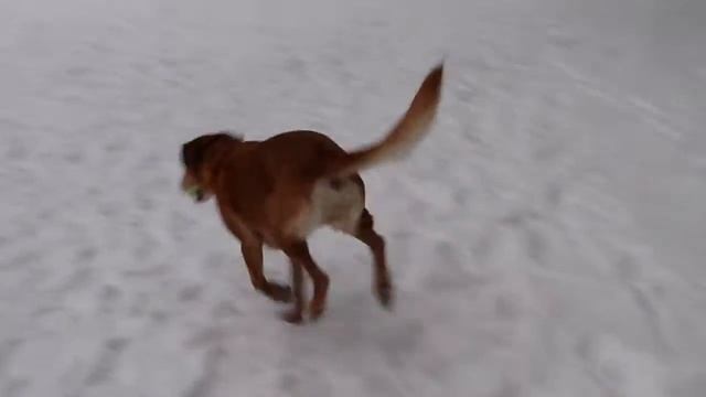 Kenmore in Snow h264 смотреть онлайн