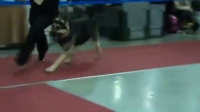 ЕВРАЗИЯ 2012 1 день Вулкан 1 смотреть онлайн