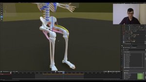 наружная ротация(супинация) голени с пояснениями