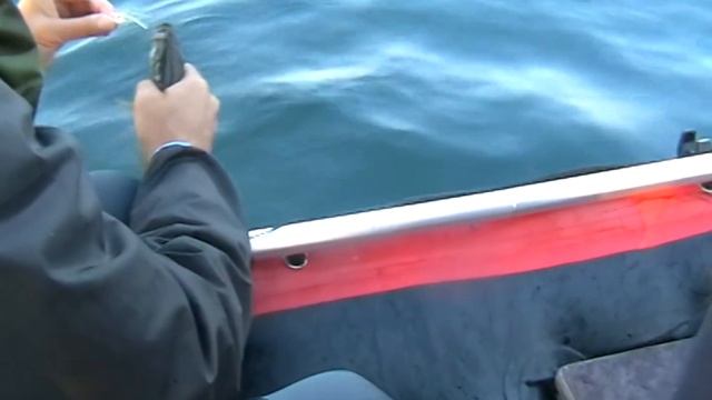 Рыбалка в Мотовском заливе Баренцева моря - август 2014 смотреть онлайн