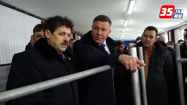 Новая ферма на 200 коров готовится к запуску в Верховажском районе смотреть онлайн