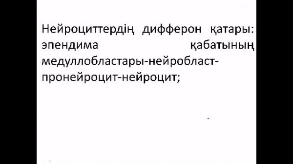 Нейруляция