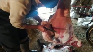 Как разделывать козлятину