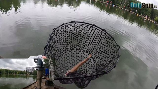 Ловля ФОРЕЛИ. Спортивные хитрости. Кубок МФК. Рыбалка с #OnlySpin смотреть онлайн