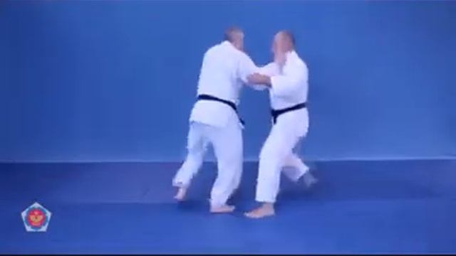 Harai goshi (хараи гоши) смотреть онлайн