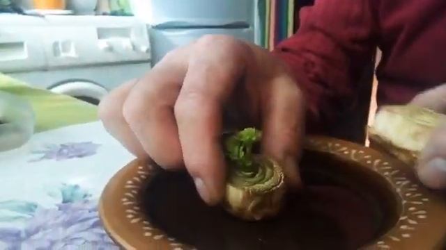 БЕСПЛАТНЫЙ Сельдерей дома на окошке!) смотреть онлайн