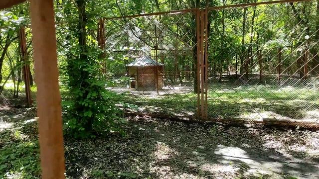 Парк Маршалково летом. Обзор парка в Строителе, Белгородская область смотреть онлайн
