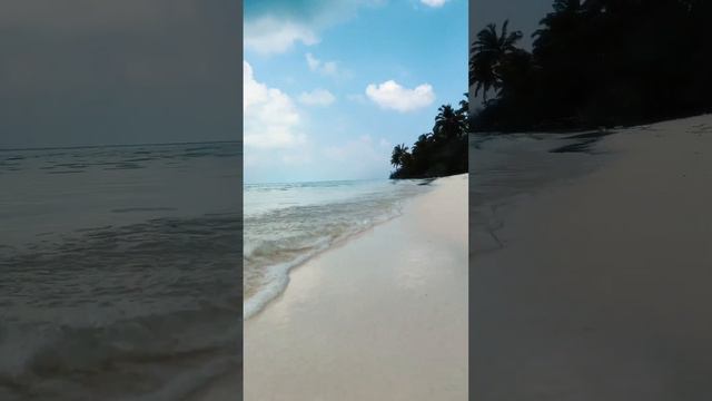 📍The Maldives 🌴 Мальдивы смотреть онлайн