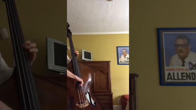 3 Polys and a Spiro - pizzicato смотреть онлайн