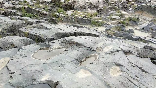 VID_20240909_144426.mp4 смотреть онлайн