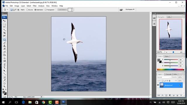 Adobe Photoshop CS3 tutorial in hindi/urdu lecture#5 using spoot healing brush смотреть онлайн