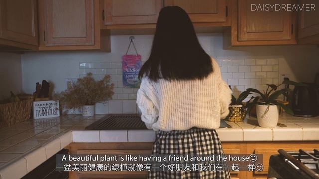 Vlog #6 | Healing Houseplants | Life lesson from a tree | Slow living ☕️ ｜大树给予的生活启示｜绿植营造治愈氛围的家 смотреть онлайн