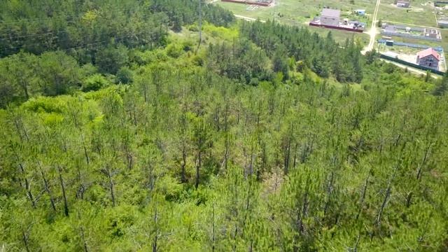 Село Пионерское.Крым.Симферополь.Есть участки ИЖС НЕДОРОГО.+79780199100\Whats App\ смотреть онлайн