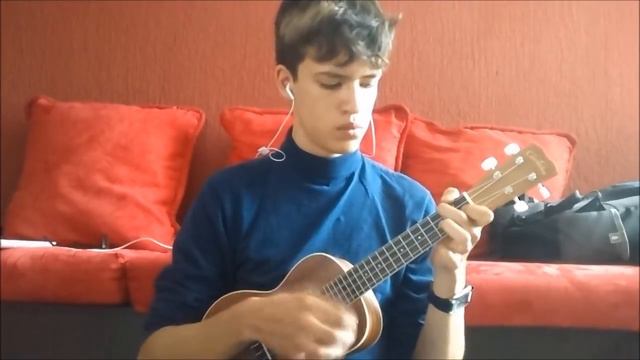 I Don't Know Birds That Well - MonaLisa Twins (Ukulele Cover) смотреть онлайн