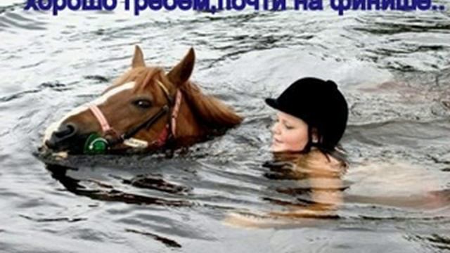 Допинг в гребле смотреть онлайн