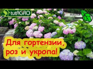 СУПЕР УДОБРЕНИЕ ДЛЯ РОЗ, УКРОПА, ГОЛУБИКИ и ГОРТЕНЗИЙ. Особая подкормка для особенных растений.