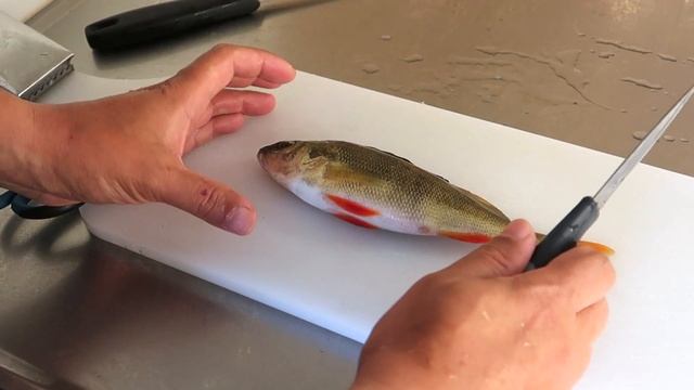 Чистка окуня, никакой чешуи! 3 способа быстрой разделки! смотреть онлайн