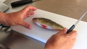 Чистка окуня, никакой чешуи! 3 способа быстрой разделки!