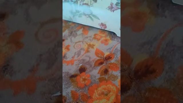Птенец ястреба или сокола ????? смотреть онлайн