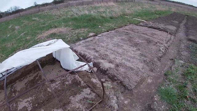 Полив огірків в парнику/Посадка огірків під парник/Посадка огірків на півночі України смотреть онлайн