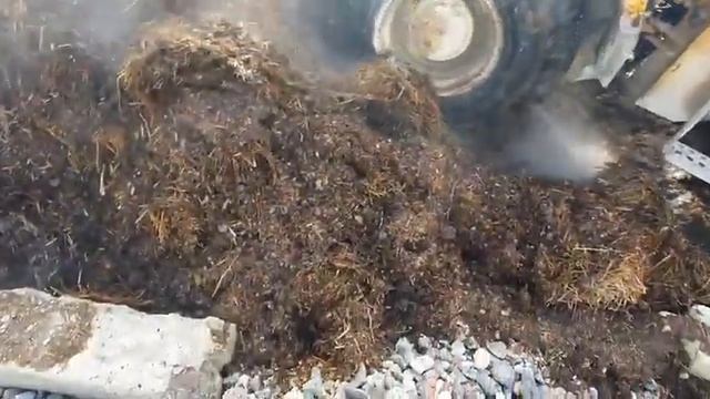 Конский навоз\перегной конский\огородный рай\погрузка перегноя \наглядно материал Калининград смотреть онлайн