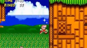 Amy Rose rule 34