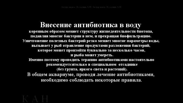 Антибиотики для лечения аквариумных рыб смотреть онлайн