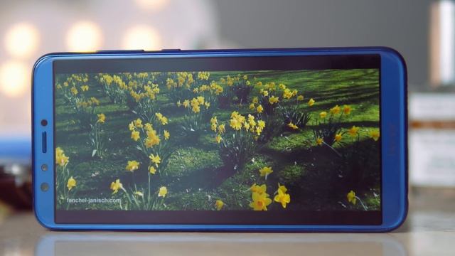 Обзор Honor 9 Lite без рамок [4k] смотреть онлайн
