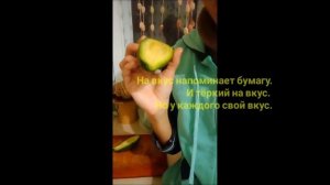 Какой на вкус авокадо и какой он внутри?